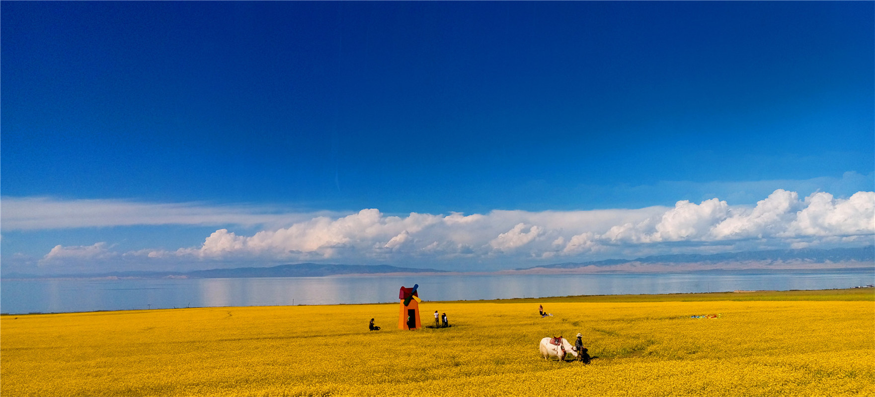 《大美青?！穭㈤?/>
                                    <div   id=